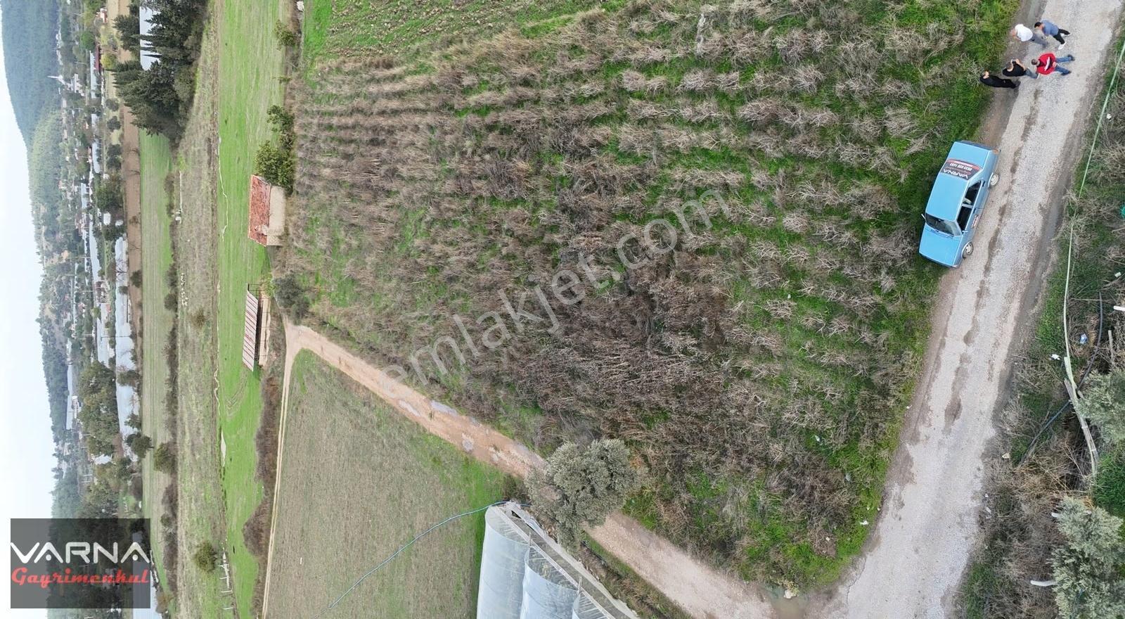 İzmir Değirmenderede Satılık Tektapu 2.650 M2 Köşe Tarla - Görsel 23
