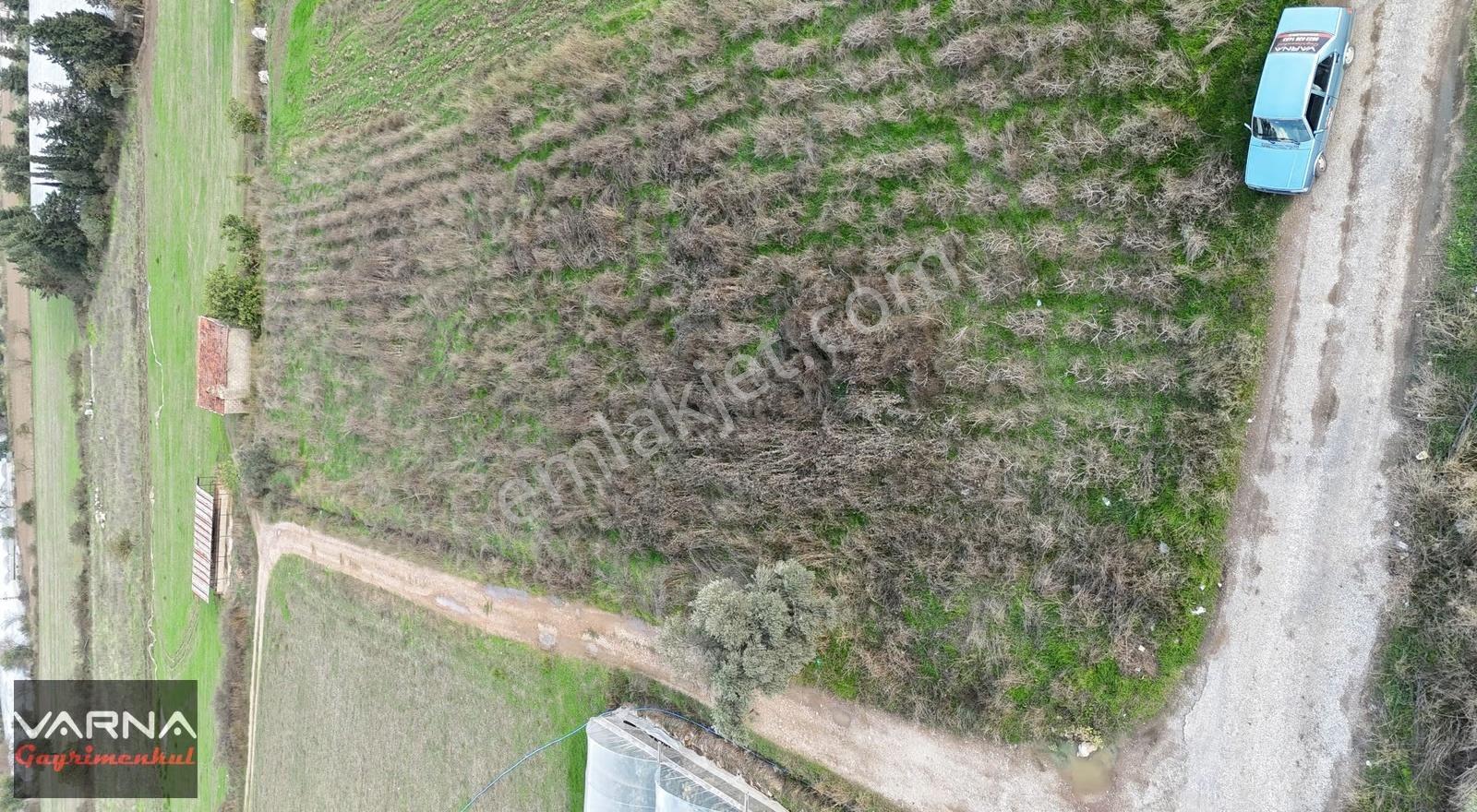 İzmir Değirmenderede Satılık Tektapu 2.650 M2 Köşe Tarla - Görsel 21