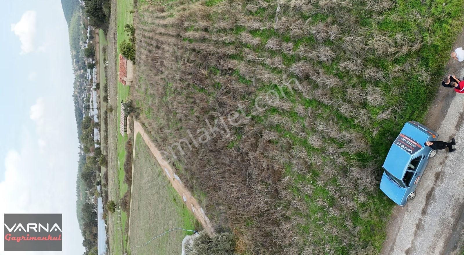 İzmir Değirmenderede Satılık Tektapu 2.650 M2 Köşe Tarla - Görsel 22