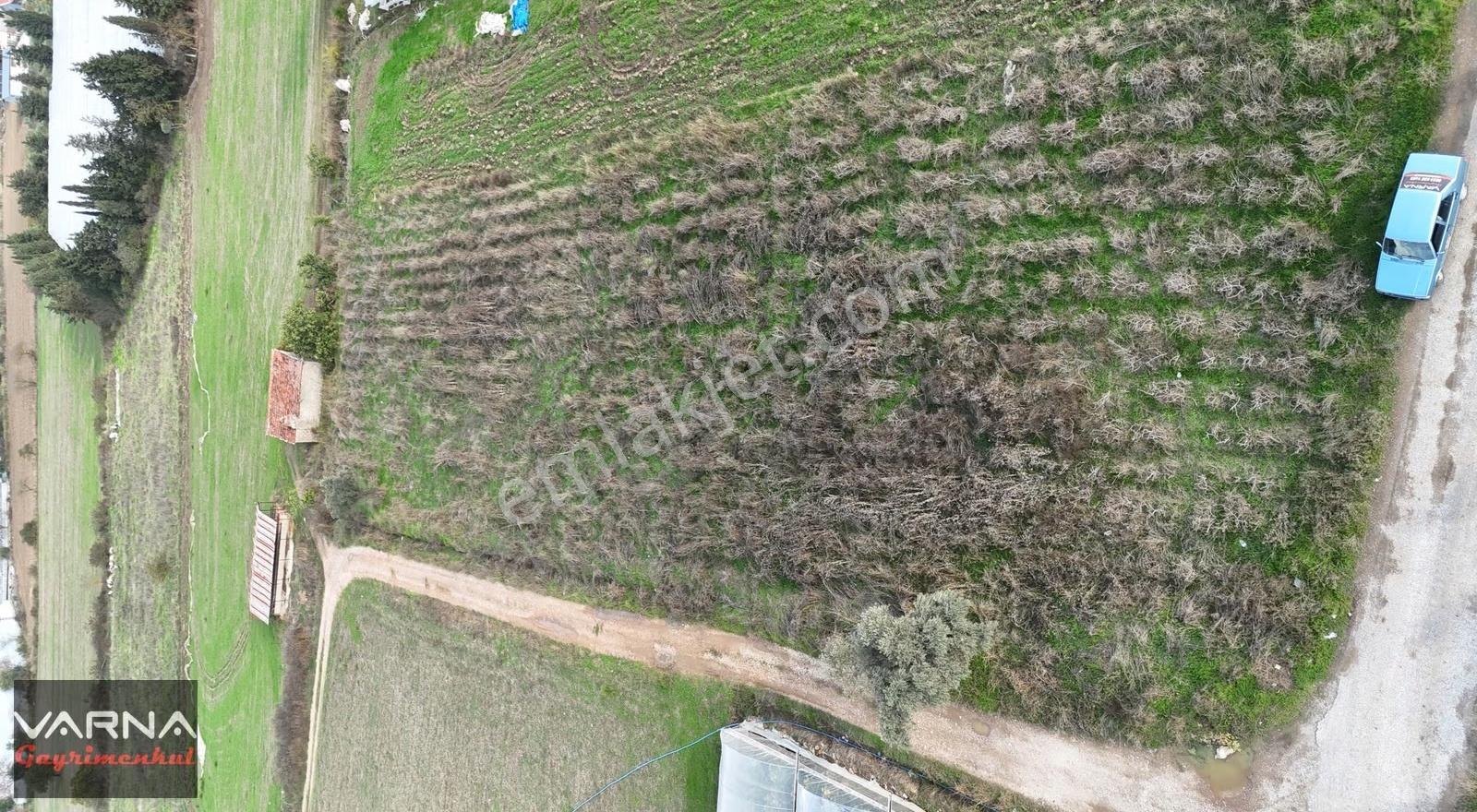 İzmir Değirmenderede Satılık Tektapu 2.650 M2 Köşe Tarla - Görsel 6