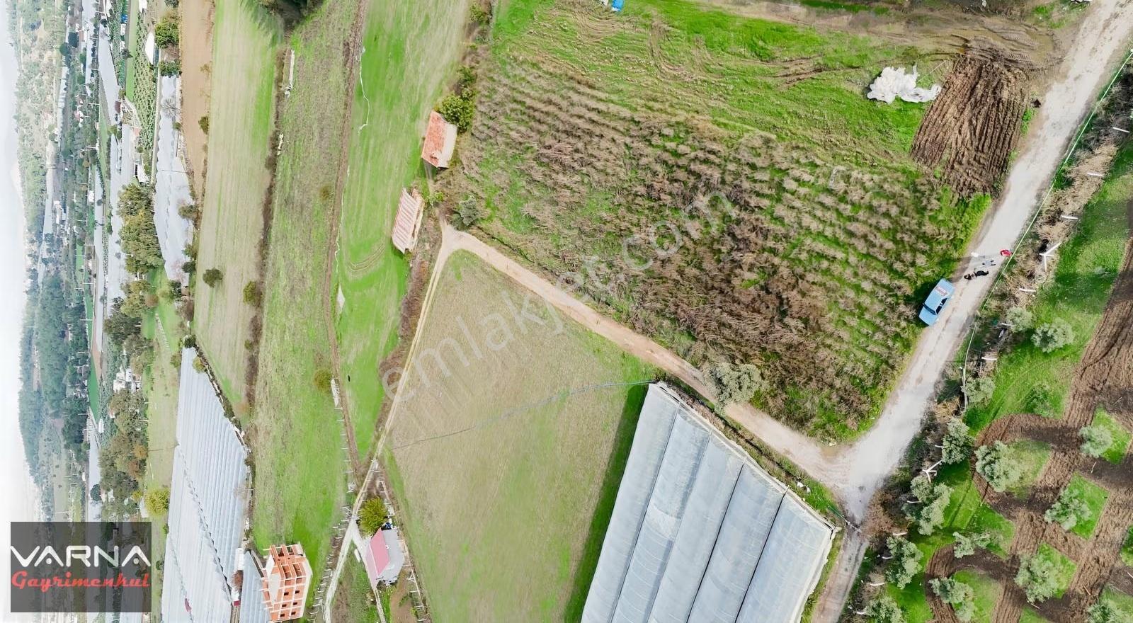 İzmir Değirmenderede Satılık Tektapu 2.650 M2 Köşe Tarla - Görsel 16