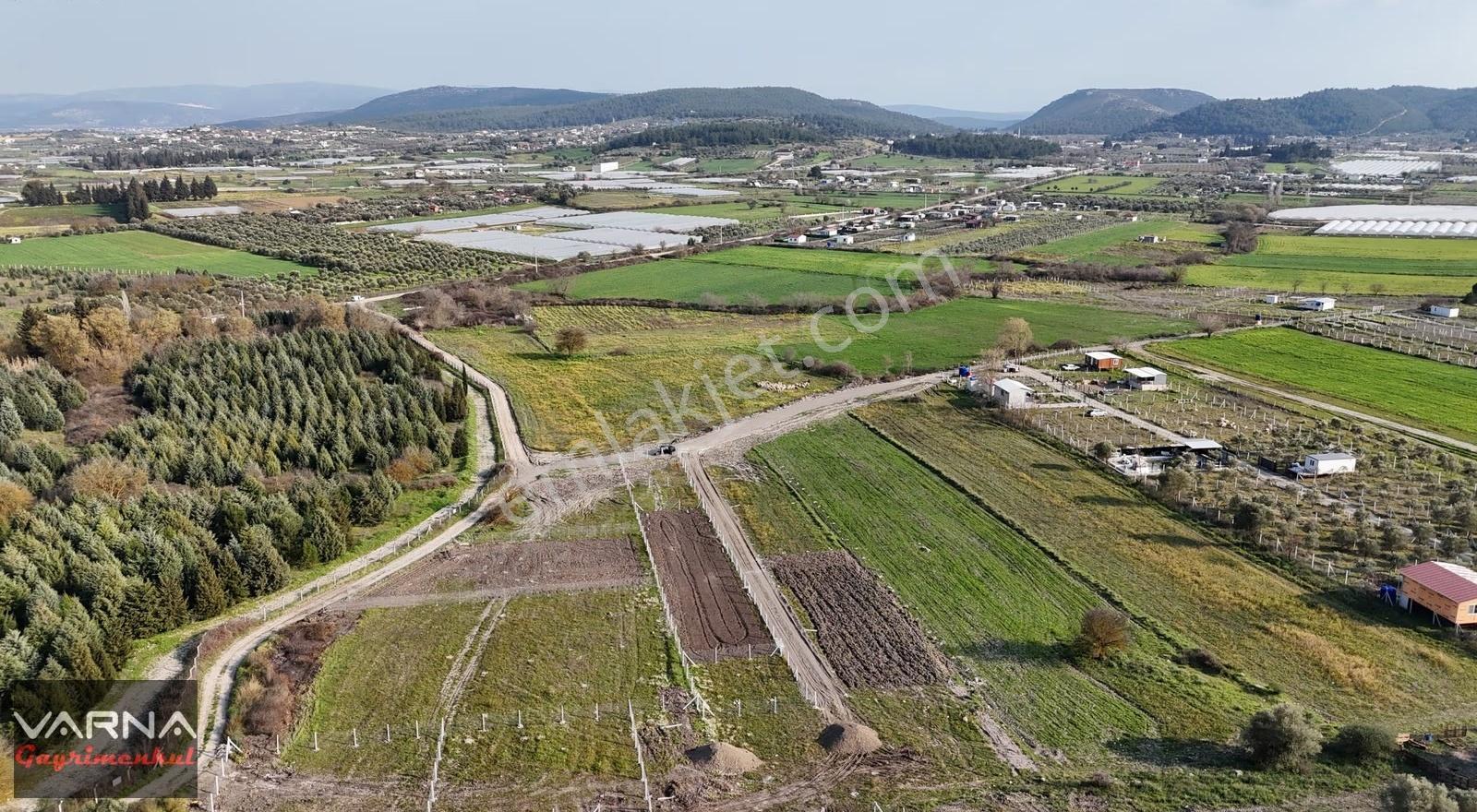 Değirmenderede Karacadağ Manzaralı 360 M2 Resmi Tapulu Bahçeler - Görsel 13