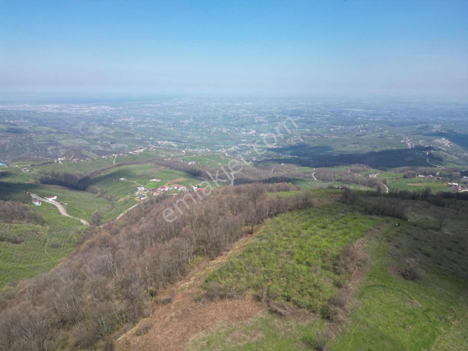 Bi·nova'dan Yaylageriş Köyünde Satılık 4.600 M² Fındık Bahçesi - Görsel 10