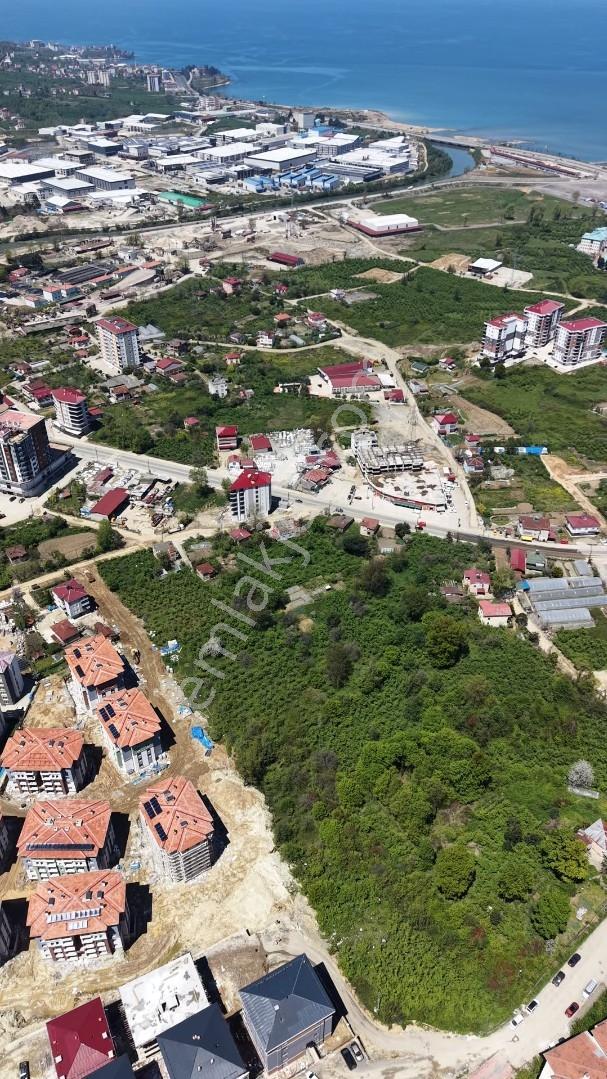 Erha Gayrimenkul'den Tokilerin Yanında Satılık Fırsat Arsa - Görsel 3
