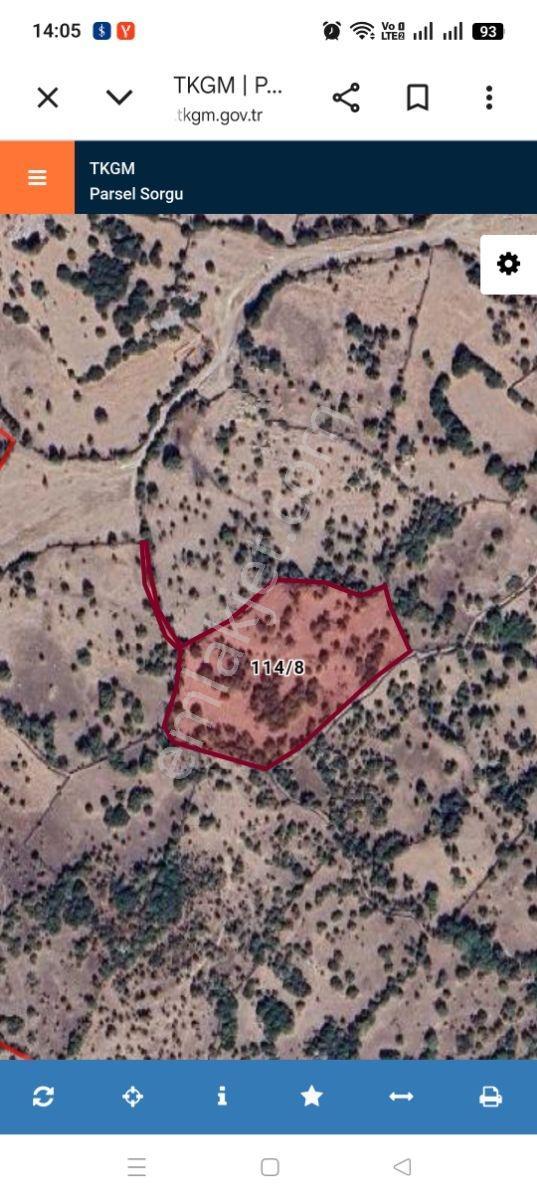 Çanakkale Ayvacık Bektaş Altı Sivrice'de Tarla Denize 4 Km - Görsel 2