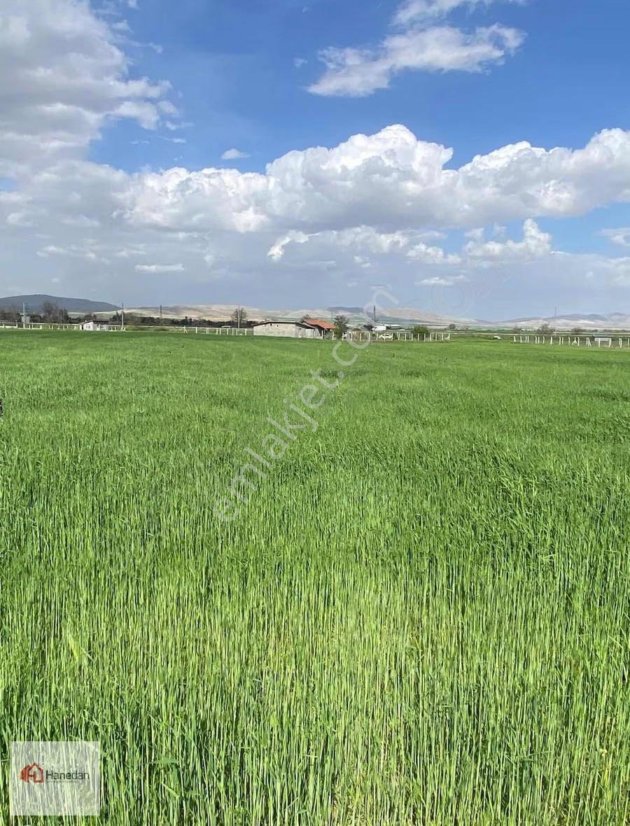 Hanedan Gayrmnlkldn Hatunsaray En İyi Yerinde 4627 M2 Bahçe Yeri - Görsel 12