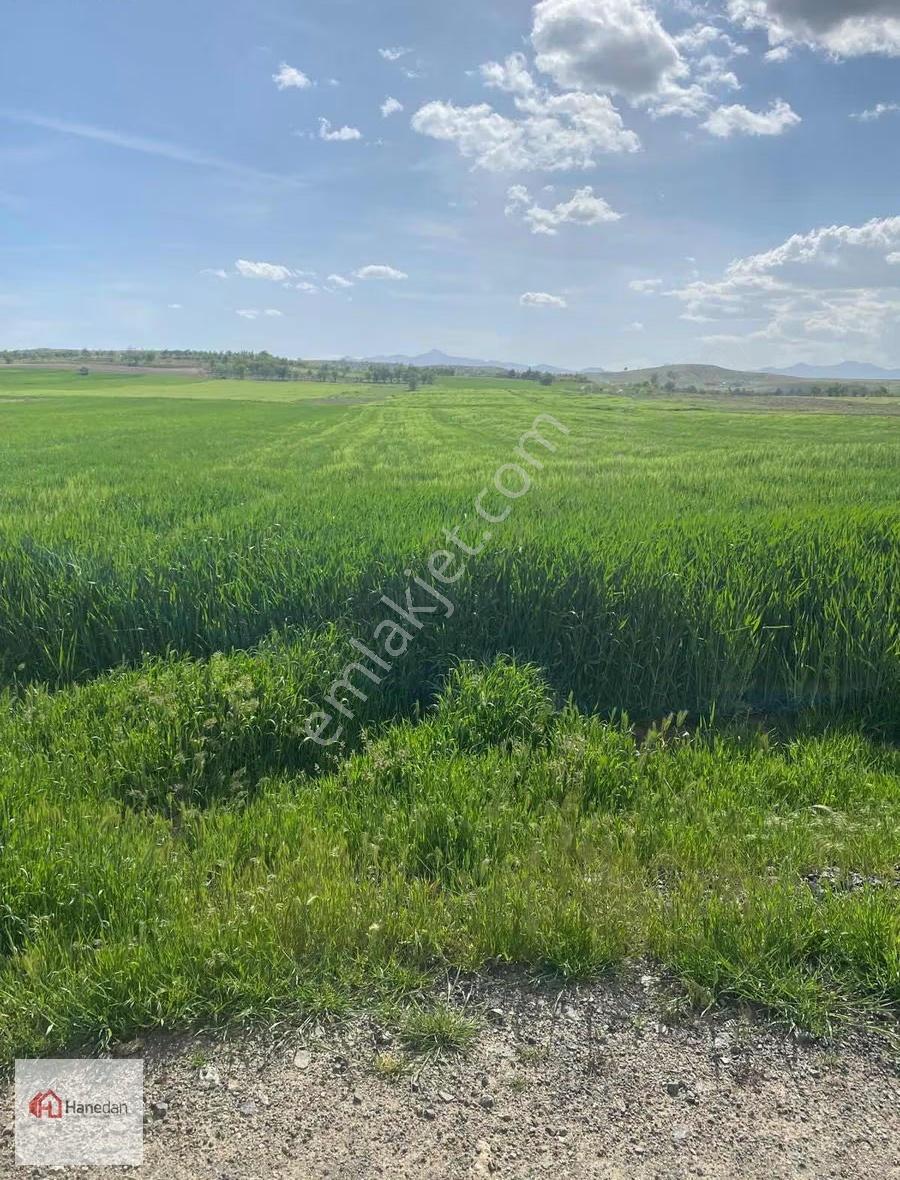 Hanedan Gayrmnlkldn Hatunsaray En İyi Yerinde 4627 M2 Bahçe Yeri - Görsel 8