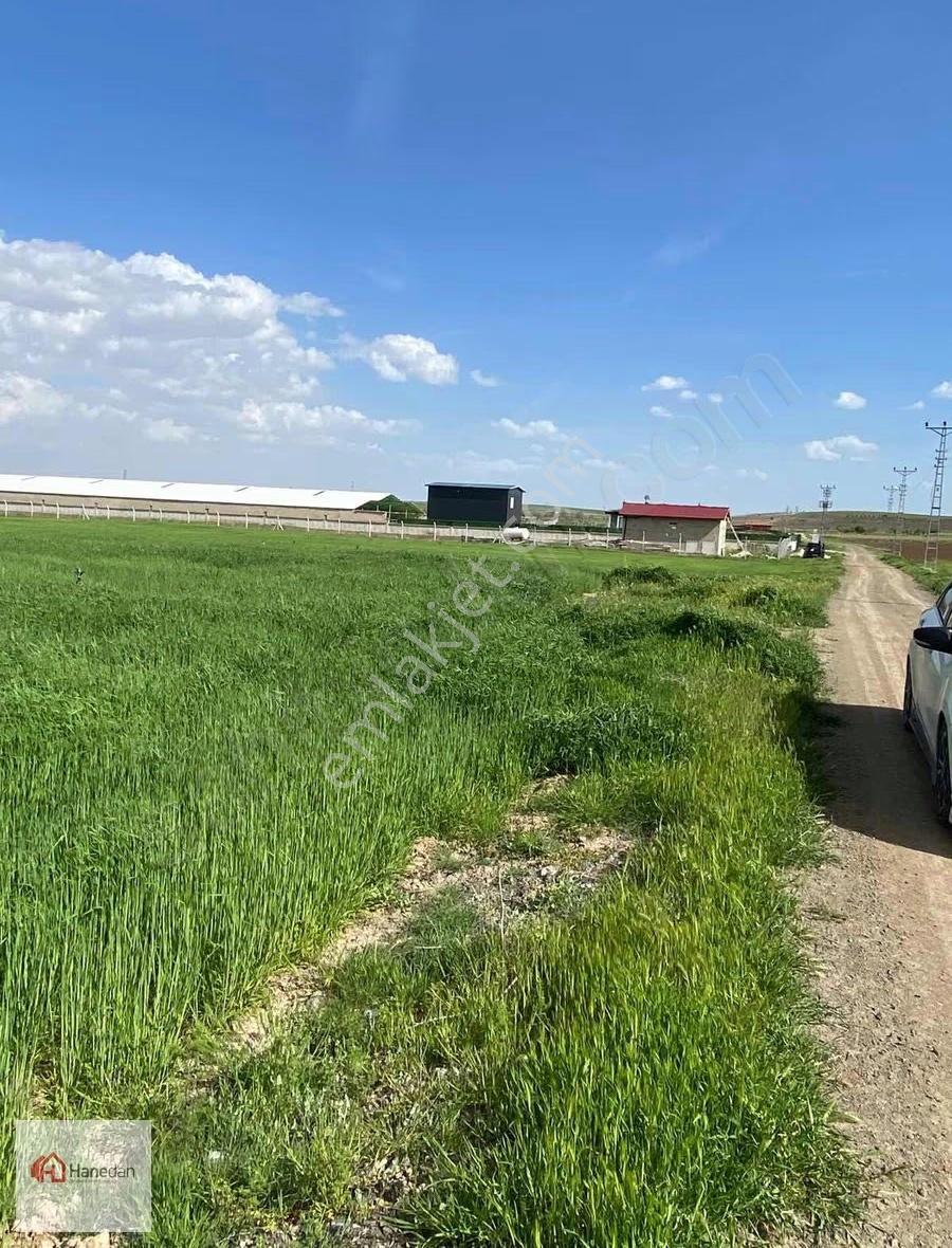 Hanedan Gayrmnlkldn Hatunsaray En İyi Yerinde 4627 M2 Bahçe Yeri - Görsel 2