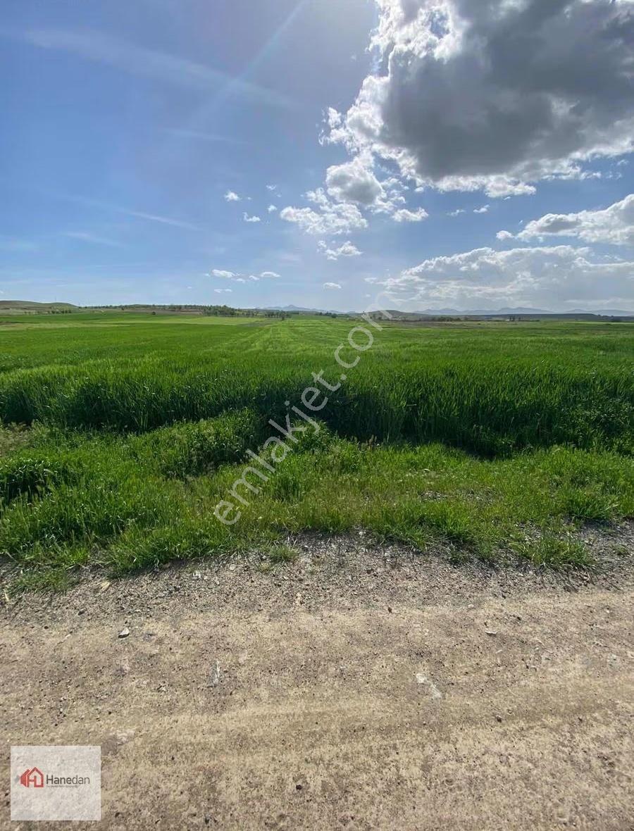 Hanedan Gayrmnlkldn Hatunsaray En İyi Yerinde 4627 M2 Bahçe Yeri - Görsel 9