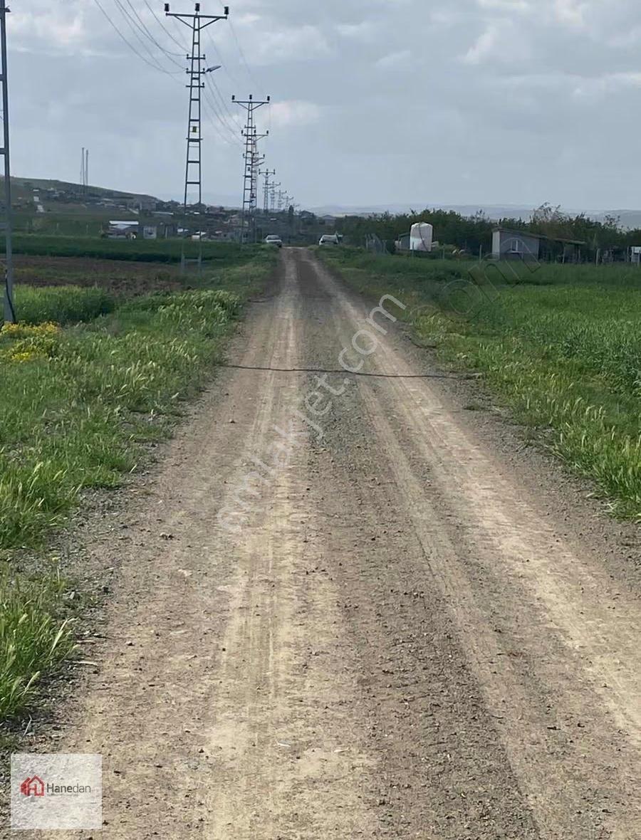 Hanedan Gayrmnlkldn Hatunsaray En İyi Yerinde 4627 M2 Bahçe Yeri - Görsel 3