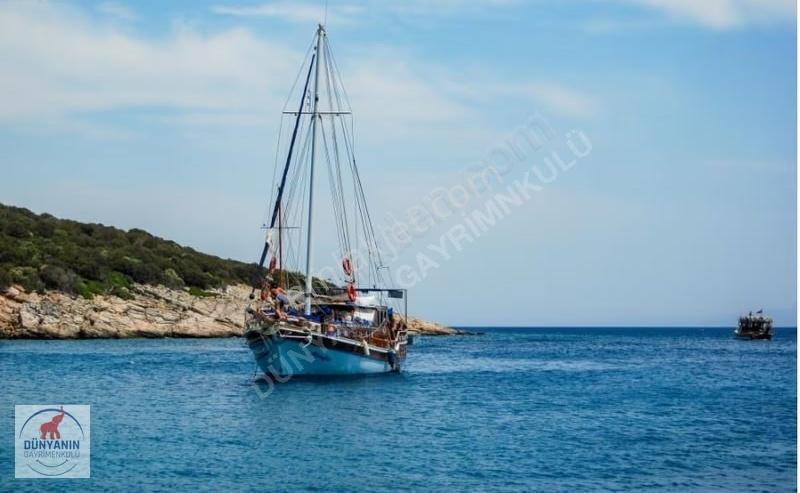 Bodrum Gümbet'te Deniz Manzaralı Ve Havuzlu Villa