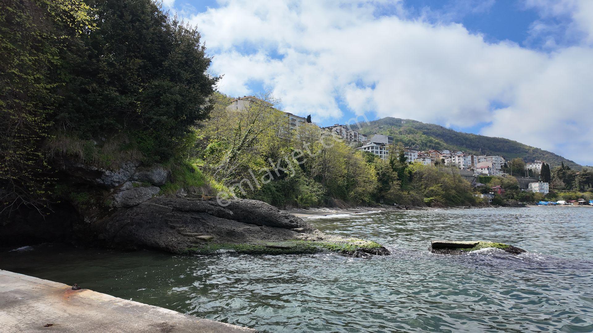 Denize Sıfır Otel+restoran+düğün Salonu | 1958 M² Dev Yatırım - Görsel 23