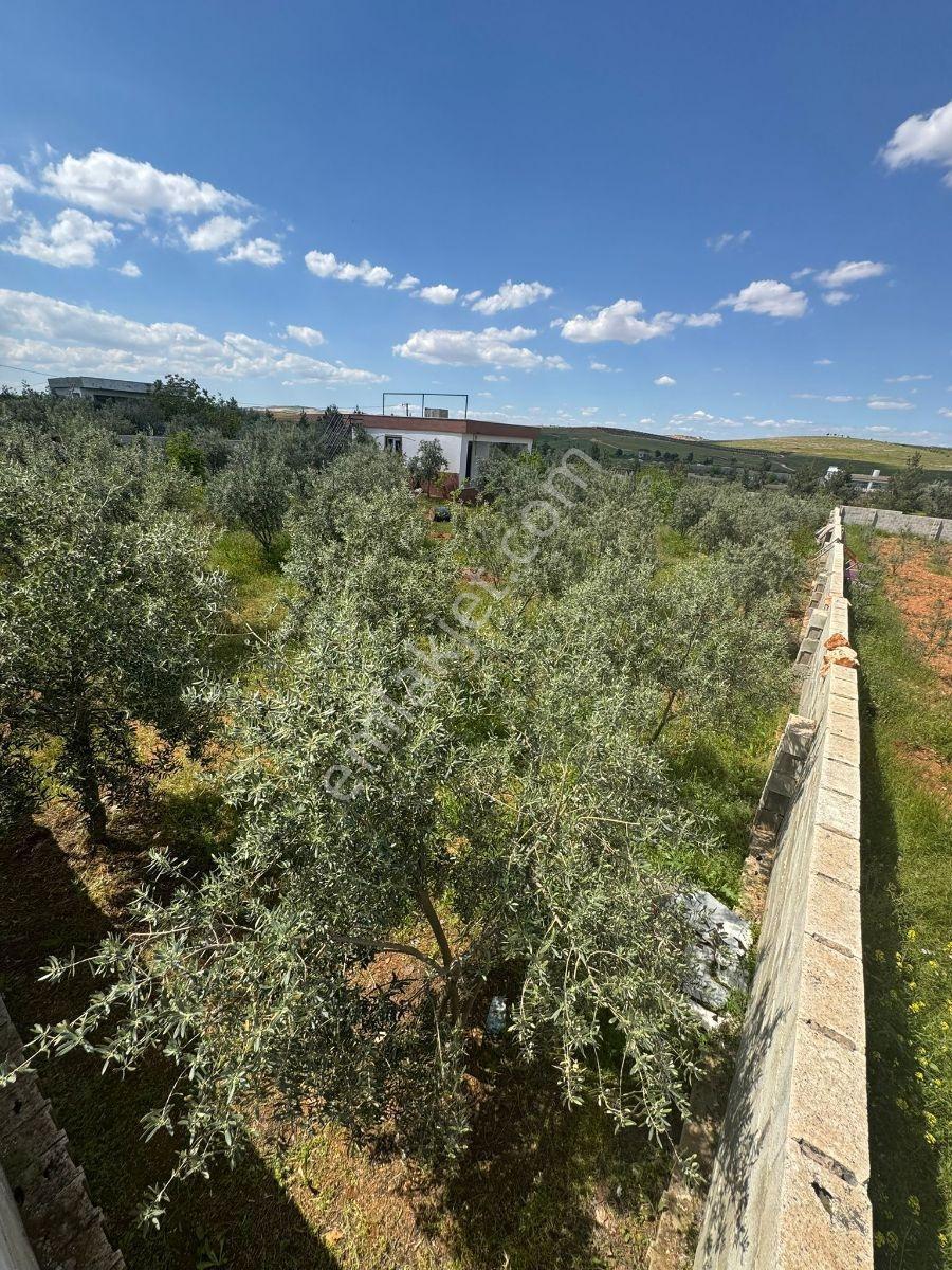 Küllüde 1350 M² Satılık Bağ Evi - Görsel 10