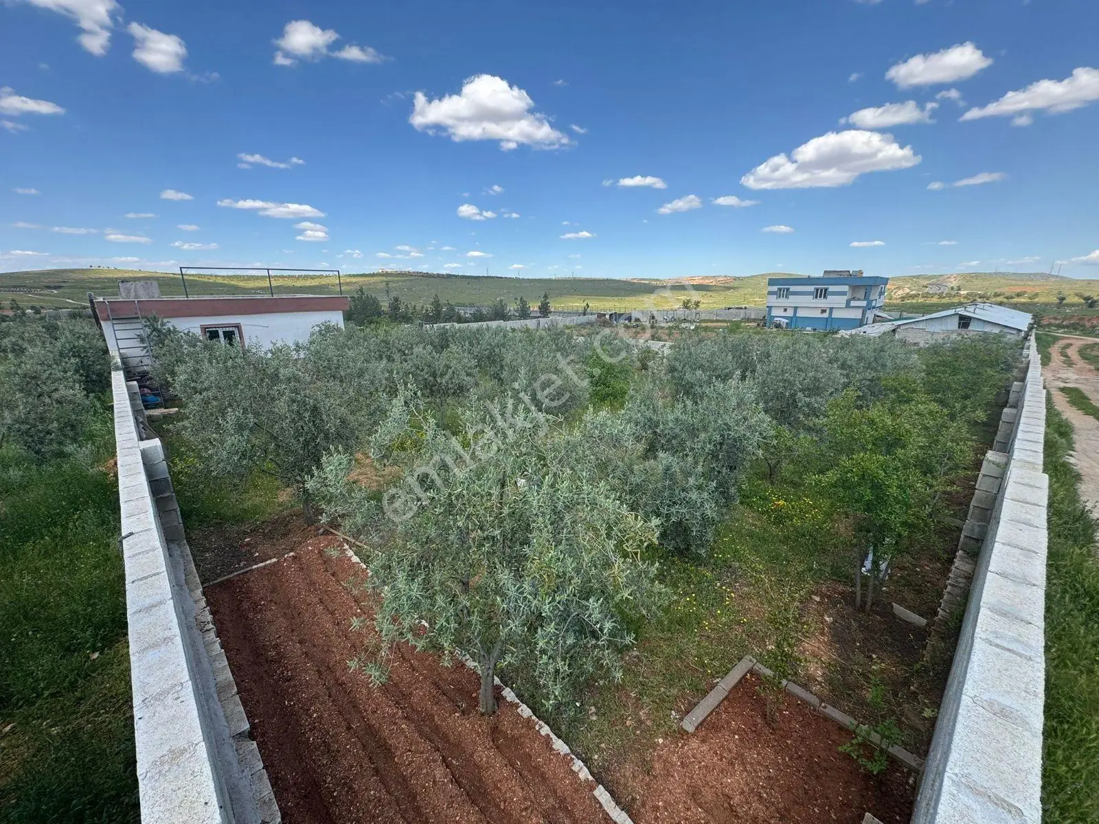 Küllüde 1350 M² Satılık Bağ Evi - Görsel 2