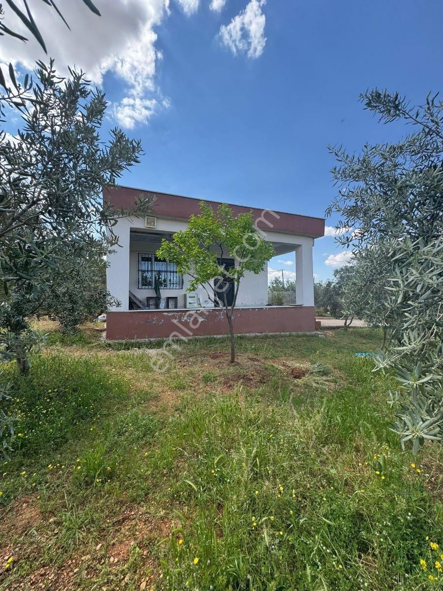 Küllüde 1350 M² Satılık Bağ Evi