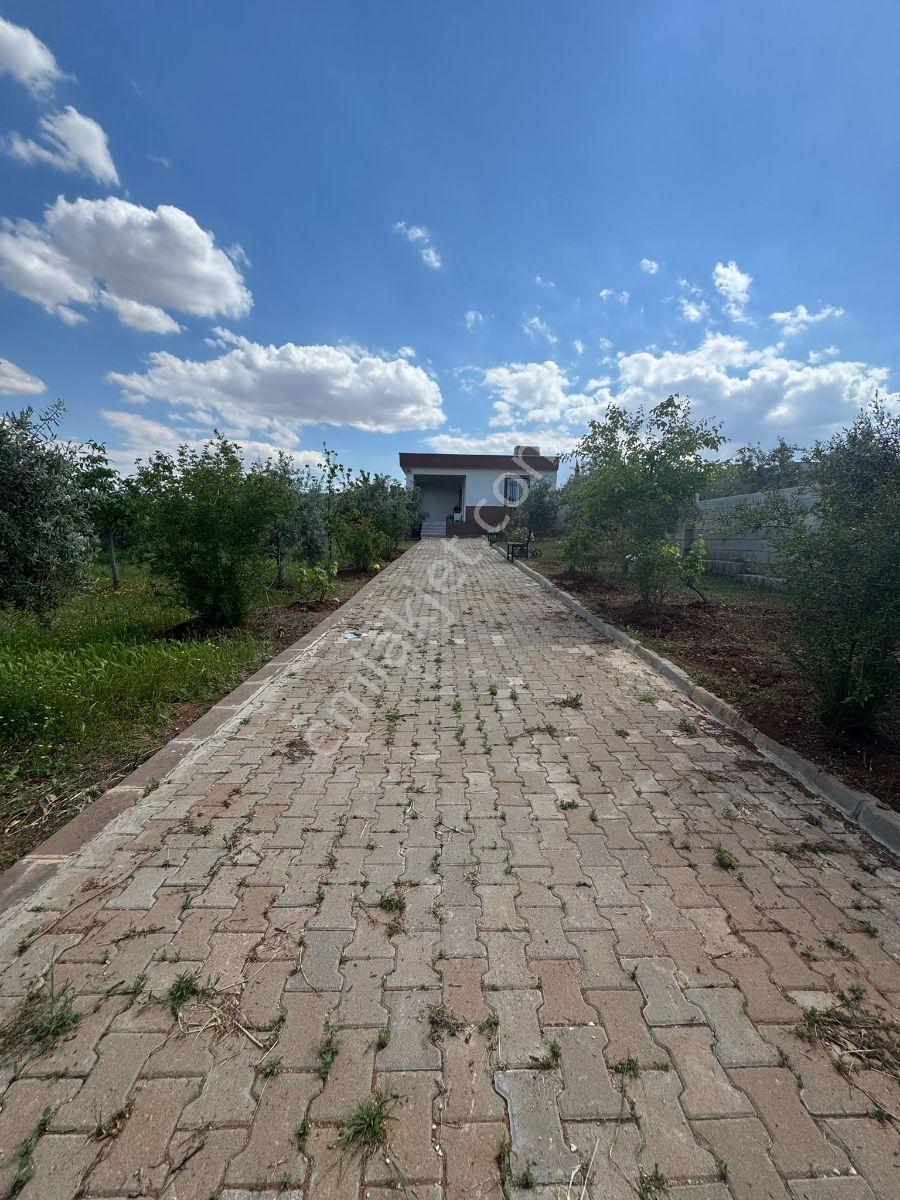 Küllüde 1350 M² Satılık Bağ Evi - Görsel 15