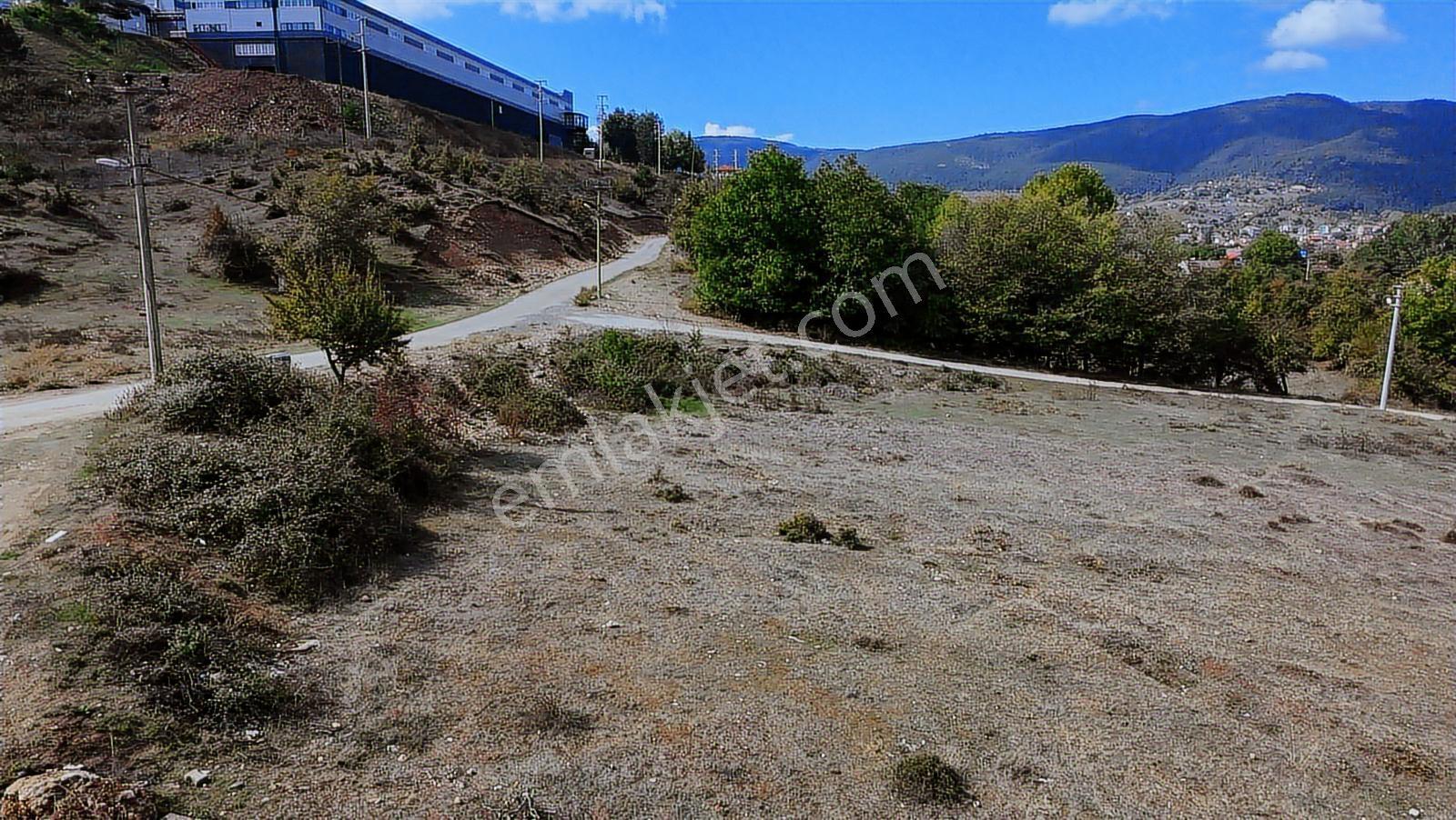 Mengen Beşler Mahallesi Satılık Konut İmarlı 350 Metrekare Arsa - Görsel 18