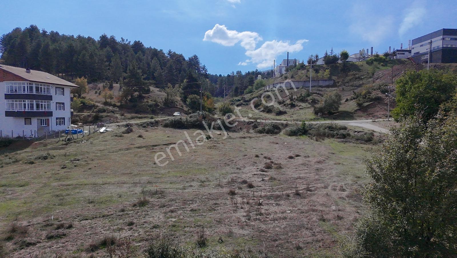 Mengen Beşler Mahallesi Satılık Konut İmarlı 350 Metrekare Arsa - Görsel 7