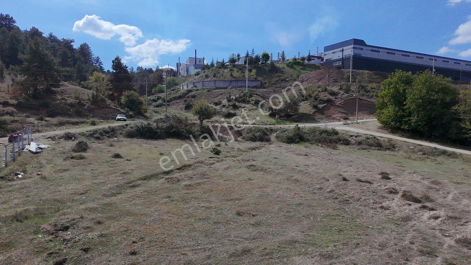 Mengen Beşler Mahallesi Satılık Konut İmarlı 350 Metrekare Arsa - Görsel 6