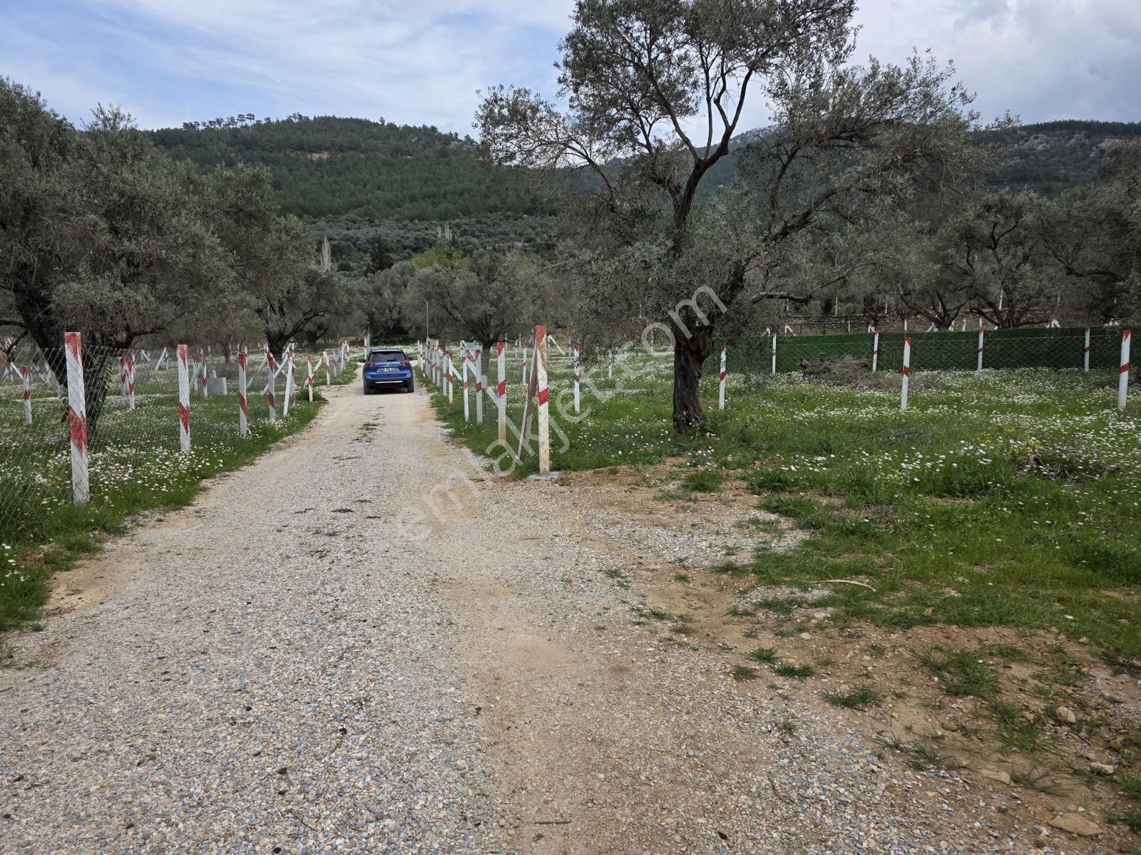 İzmir Kemalpaşa Gökyaka Da Satılık Hiiseli Tpulu Yerimiz - Görsel 6