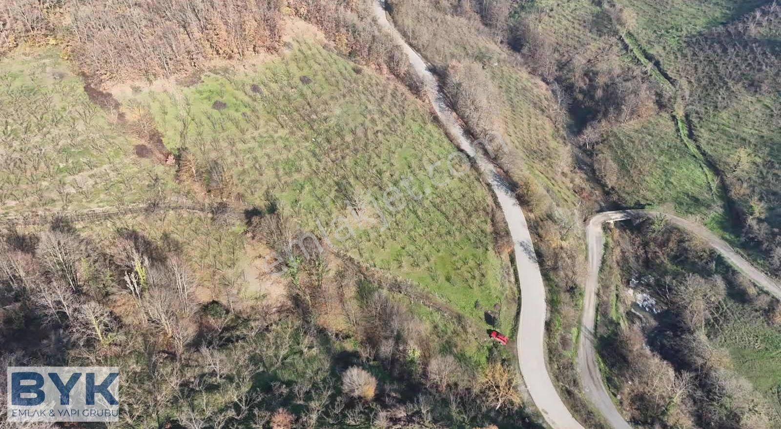 Byk 'dan! Nuhlar Köyünde Yol Cepheli!! Satılık Fındık Bahçesi!! - Görsel 9