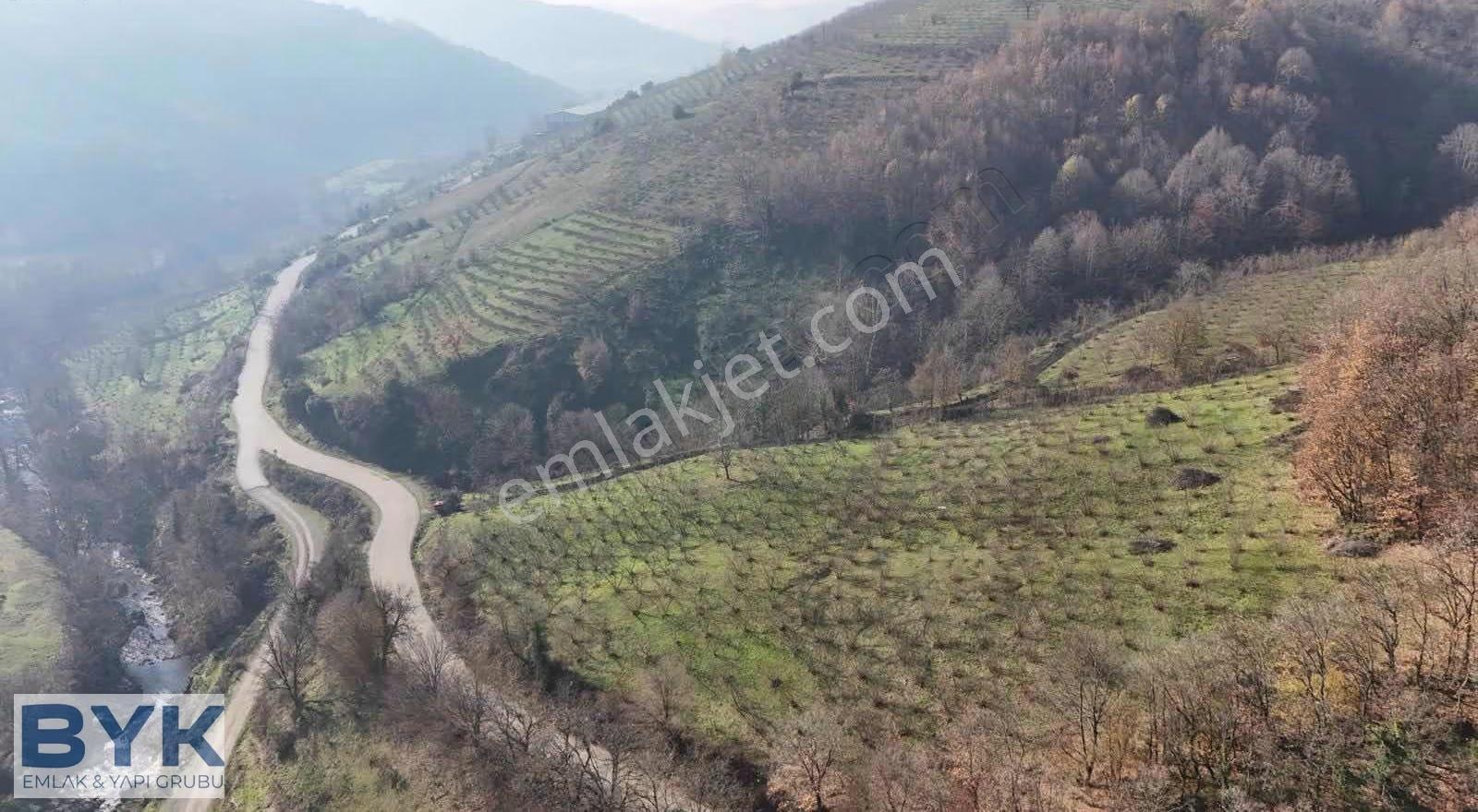 Byk 'dan! Nuhlar Köyünde Yol Cepheli!! Satılık Fındık Bahçesi!! - Görsel 5