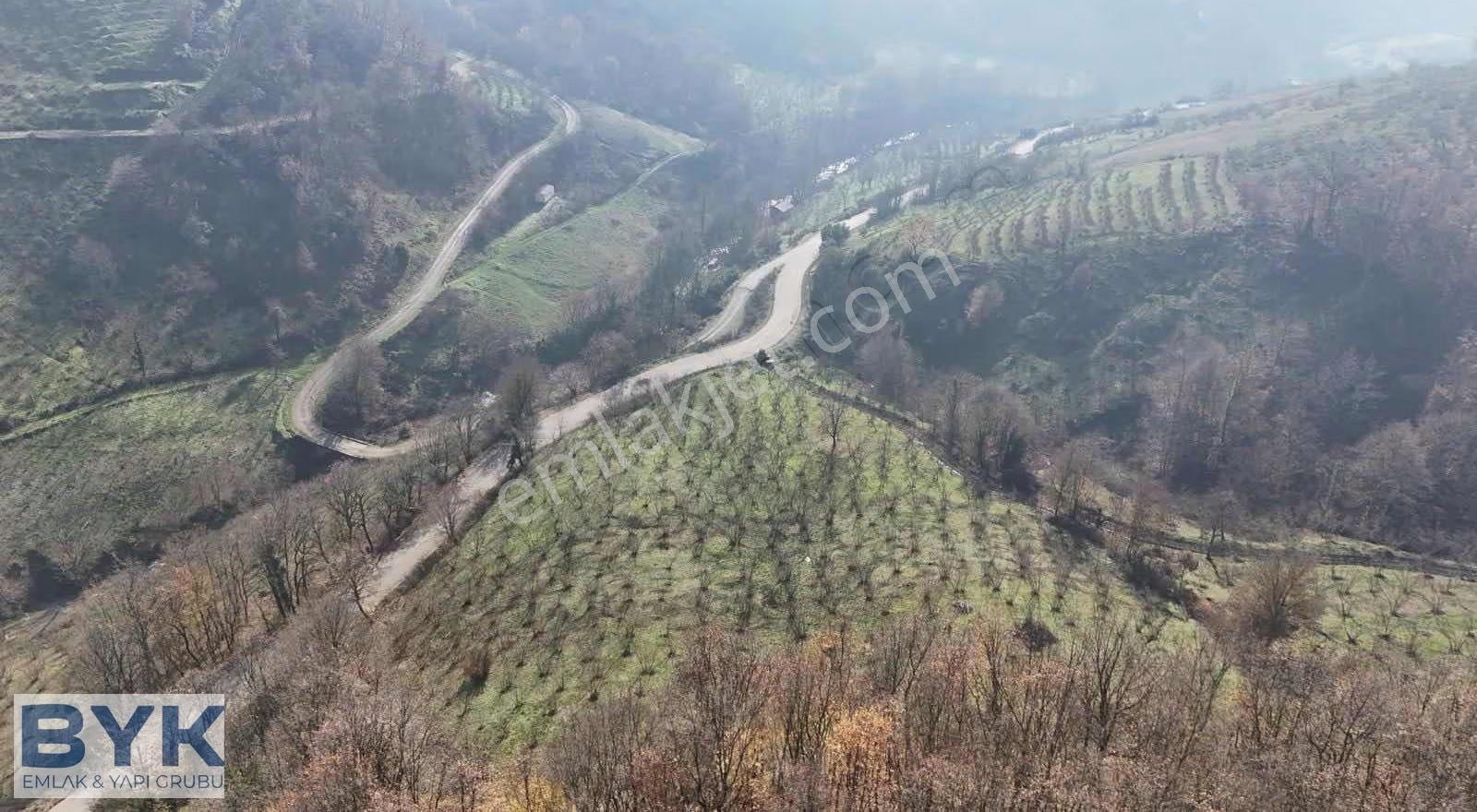 Byk 'dan! Nuhlar Köyünde Yol Cepheli!! Satılık Fındık Bahçesi!! - Görsel 3
