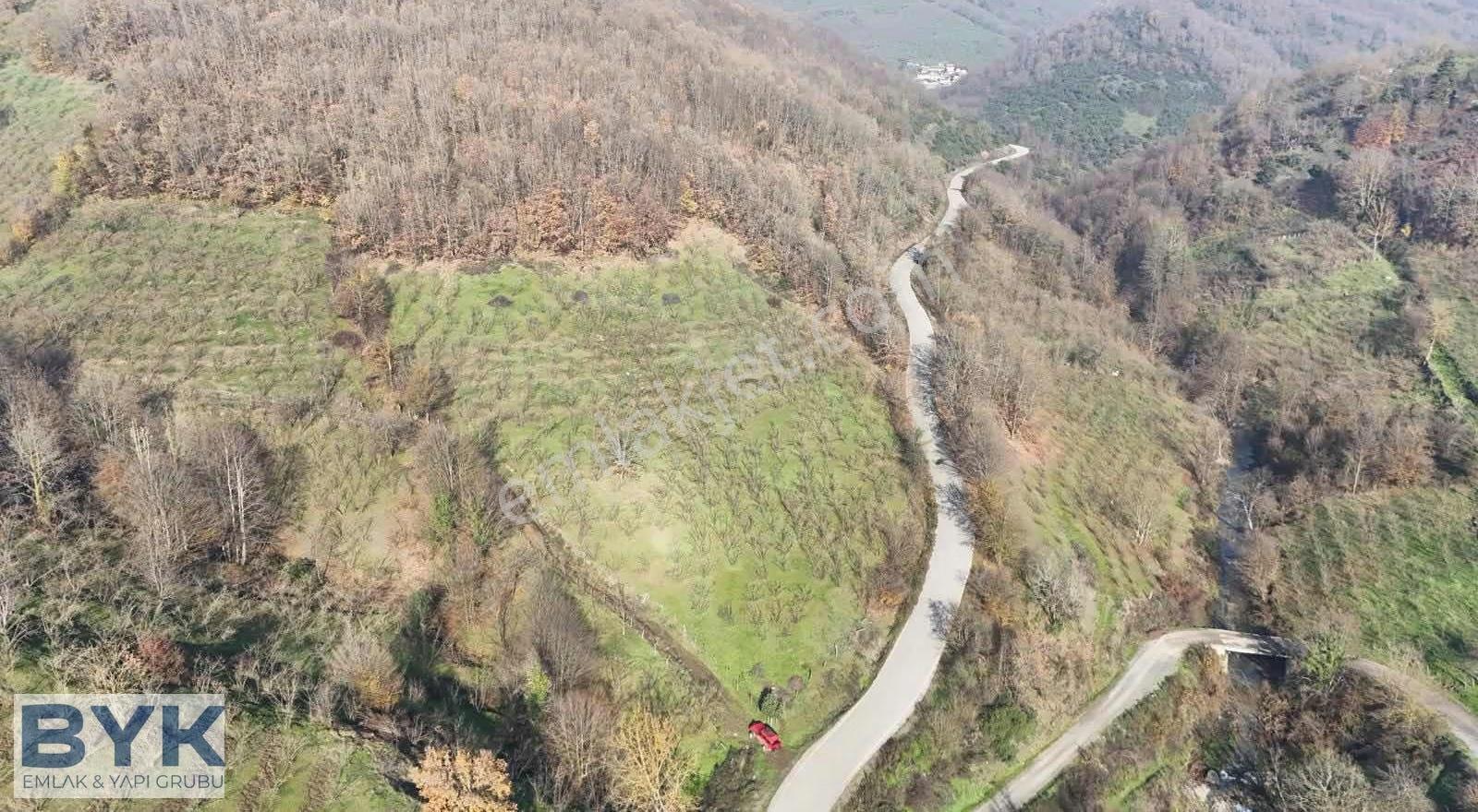 Byk 'dan! Nuhlar Köyünde Yol Cepheli!! Satılık Fındık Bahçesi!! - Görsel 13