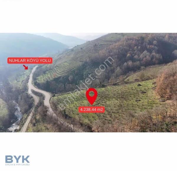 Byk 'dan! Nuhlar Köyünde Yol Cepheli!! Satılık Fındık Bahçesi!! - Görsel 11