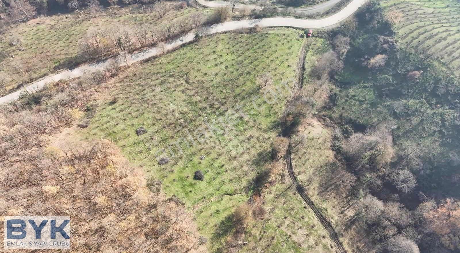 Byk 'dan! Nuhlar Köyünde Yol Cepheli!! Satılık Fındık Bahçesi!! - Görsel 10