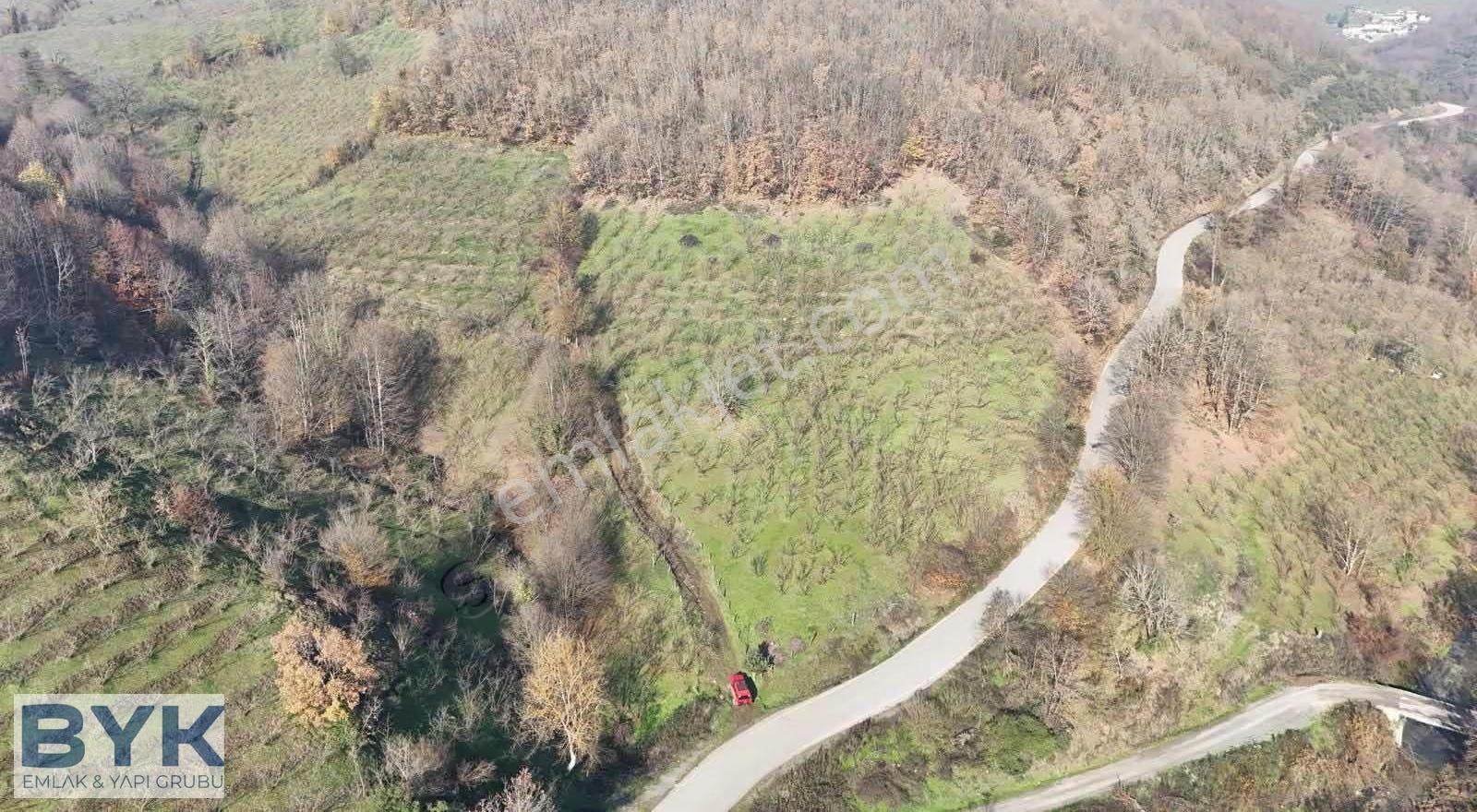 Byk 'dan! Nuhlar Köyünde Yol Cepheli!! Satılık Fındık Bahçesi!! - Görsel 7