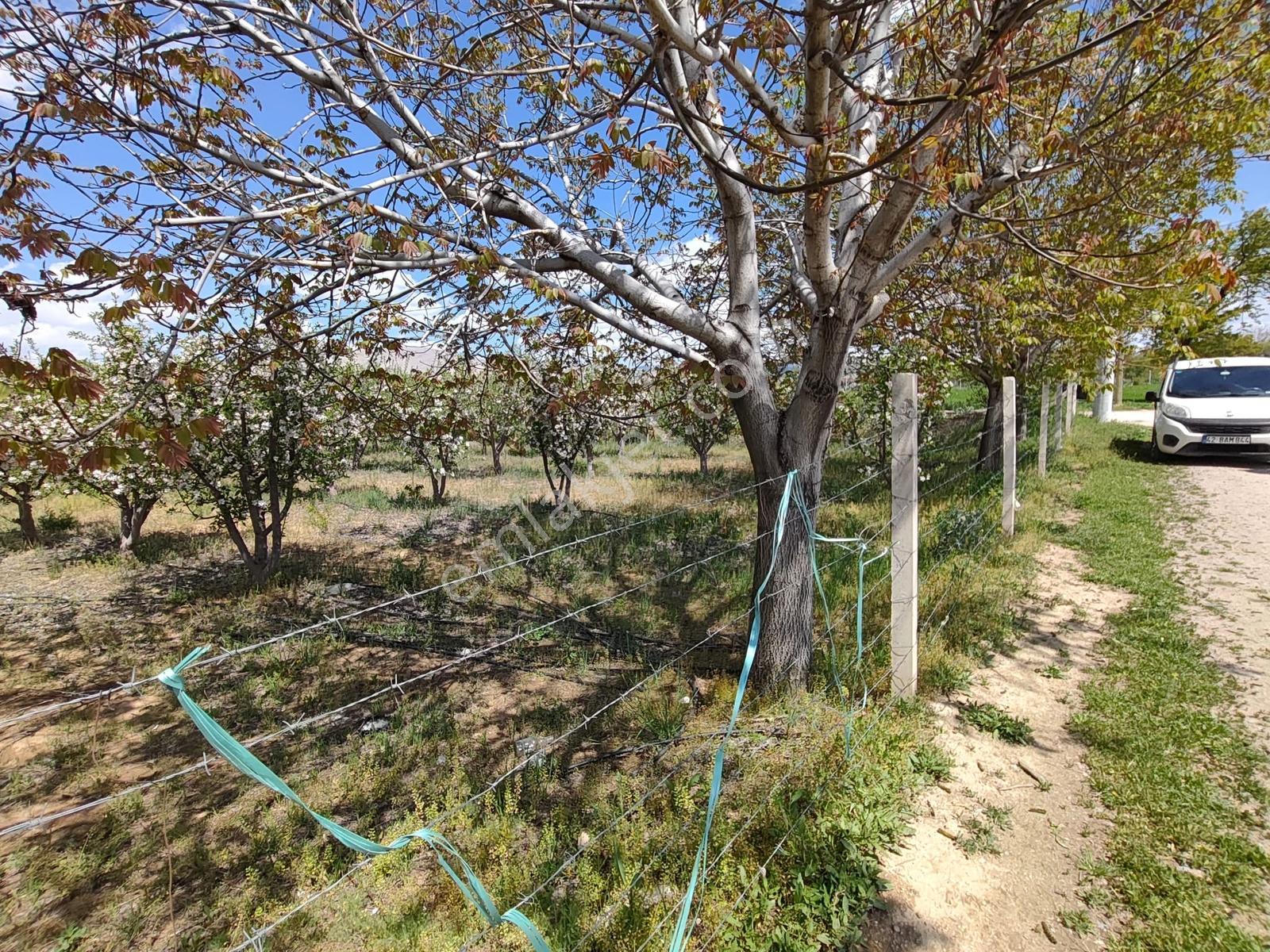 Sazlıca Aşağı Mahalle (adana Yoluna 200 Mt.) 735 M2 Satılık Arsa - Görsel 4