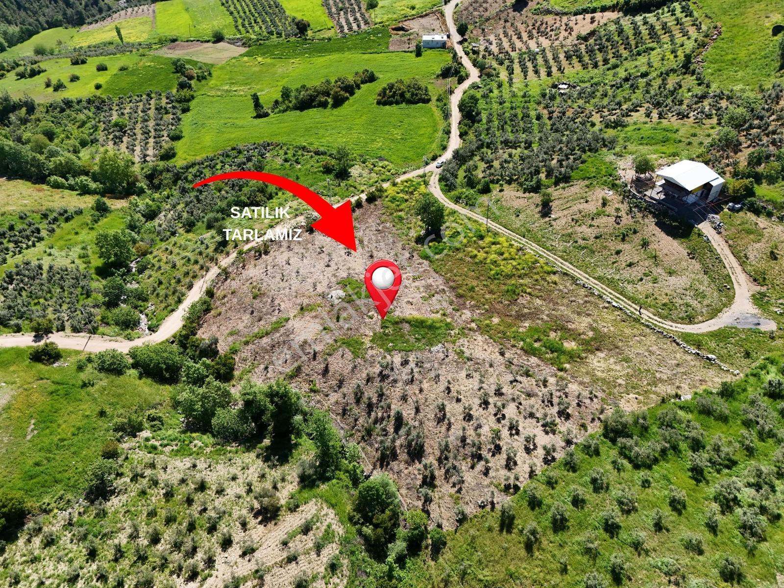 Cb'den Döngele Mh. Bağ İçin Uygun Satılık Tarla - Görsel 9