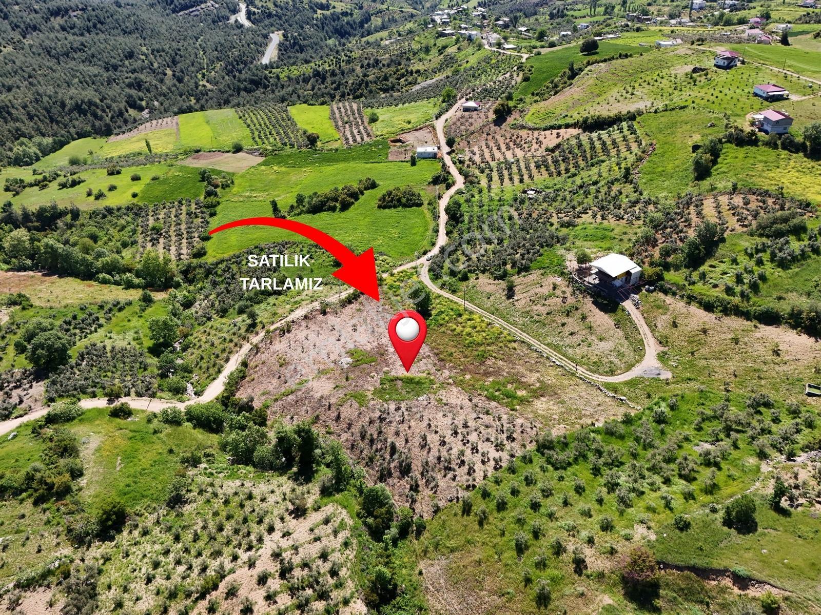 Cb'den Döngele Mh. Bağ İçin Uygun Satılık Tarla - Görsel 2