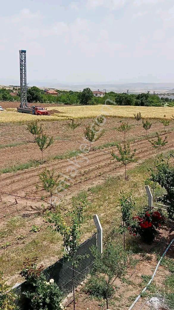 Sütlüce Boş Tarla Fiyatına Bulunmaz