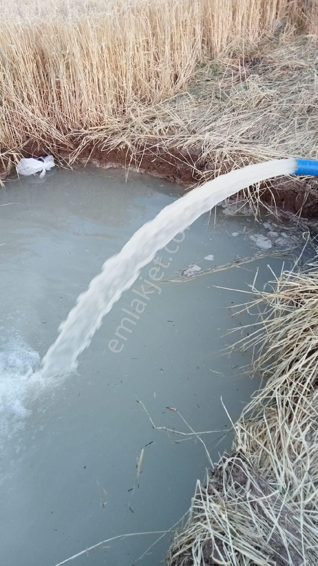 Sütlüce Boş Tarla Fiyatına Bulunmaz - Görsel 7