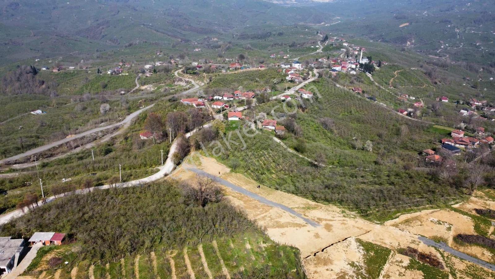 Kocaali Açmabaşı Köyünde 335 İmarlı Arsa - Görsel 6