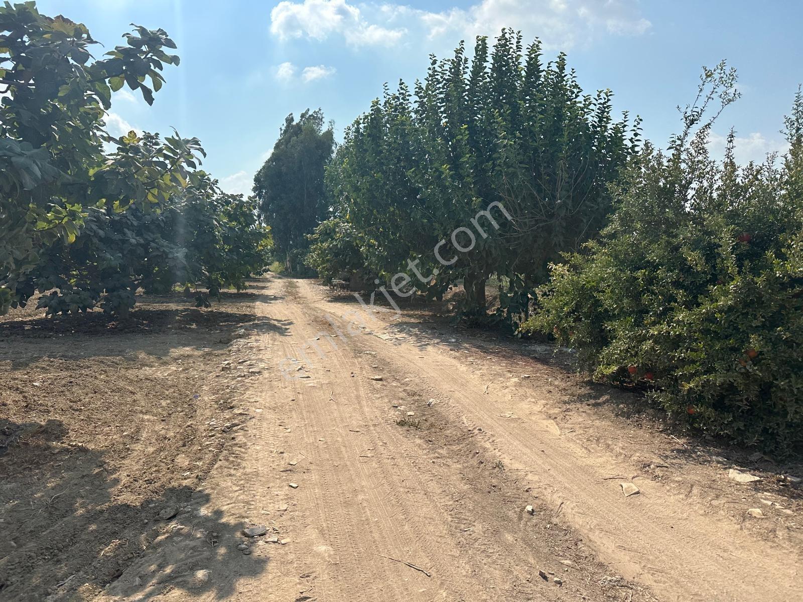 New Form'dan Akdeniz Bağlarbaşı'nda Yıllık Kiralık Tarla - Görsel 7