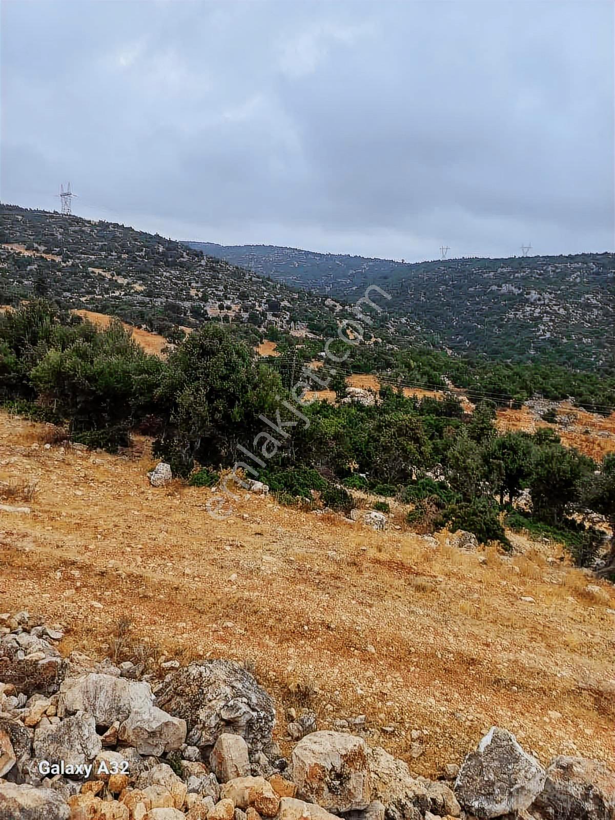 1677 M2 Tarla Çaltıbozkır Koruklu Mevkisi