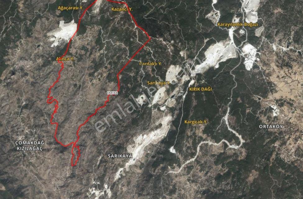 Nexus Point'ten Muğla Milas'ta Satılık Zeytinlik - Görsel 5