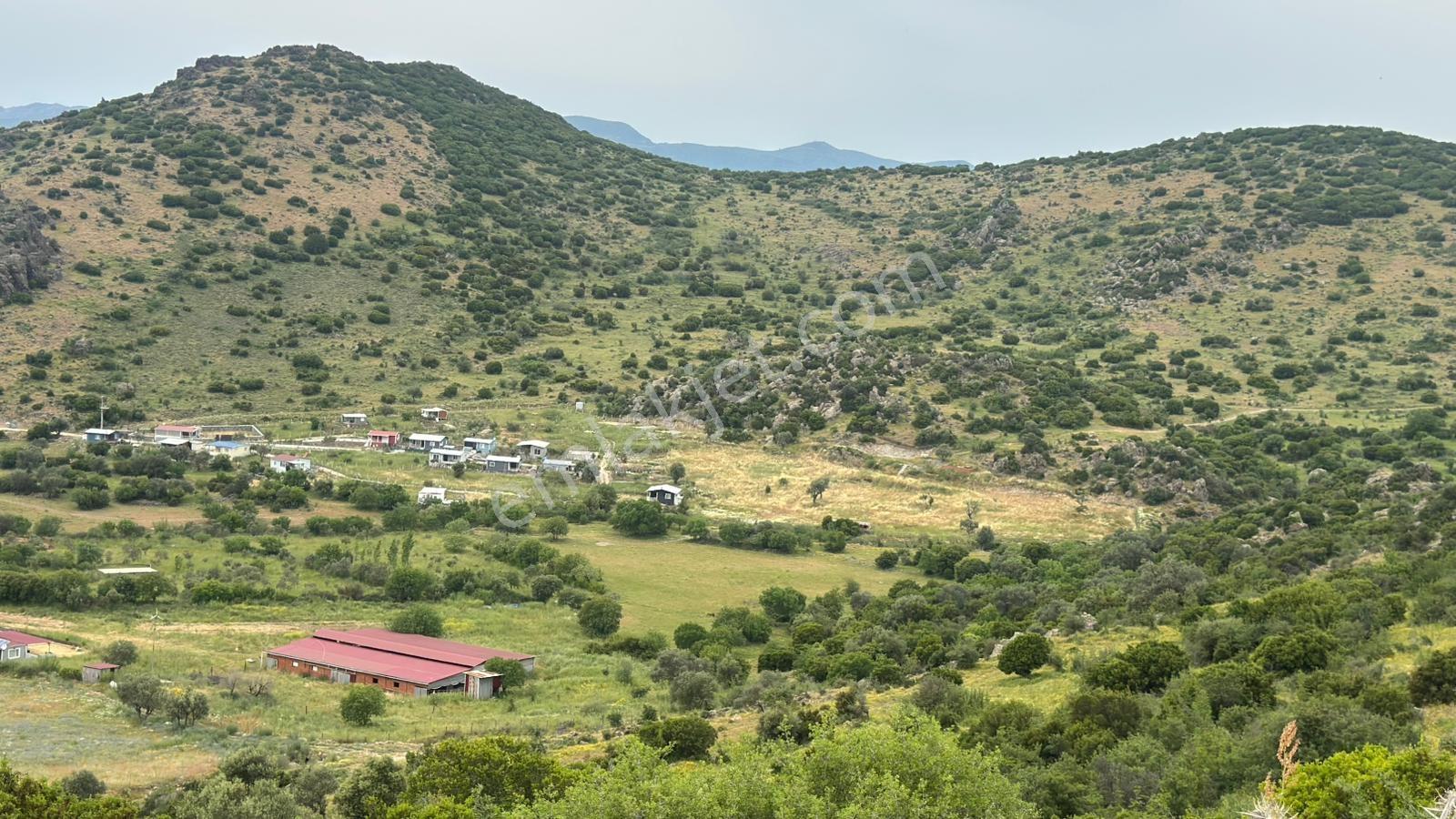 Menemen Bağcılarda 6.281 M² Satılık Zeytinli Tarla - Görsel 2