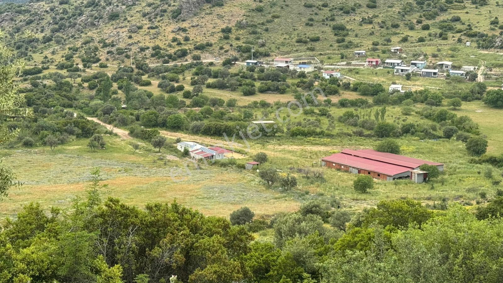 Menemen Bağcılarda 6.281 M² Satılık Zeytinli Tarla - Görsel 6