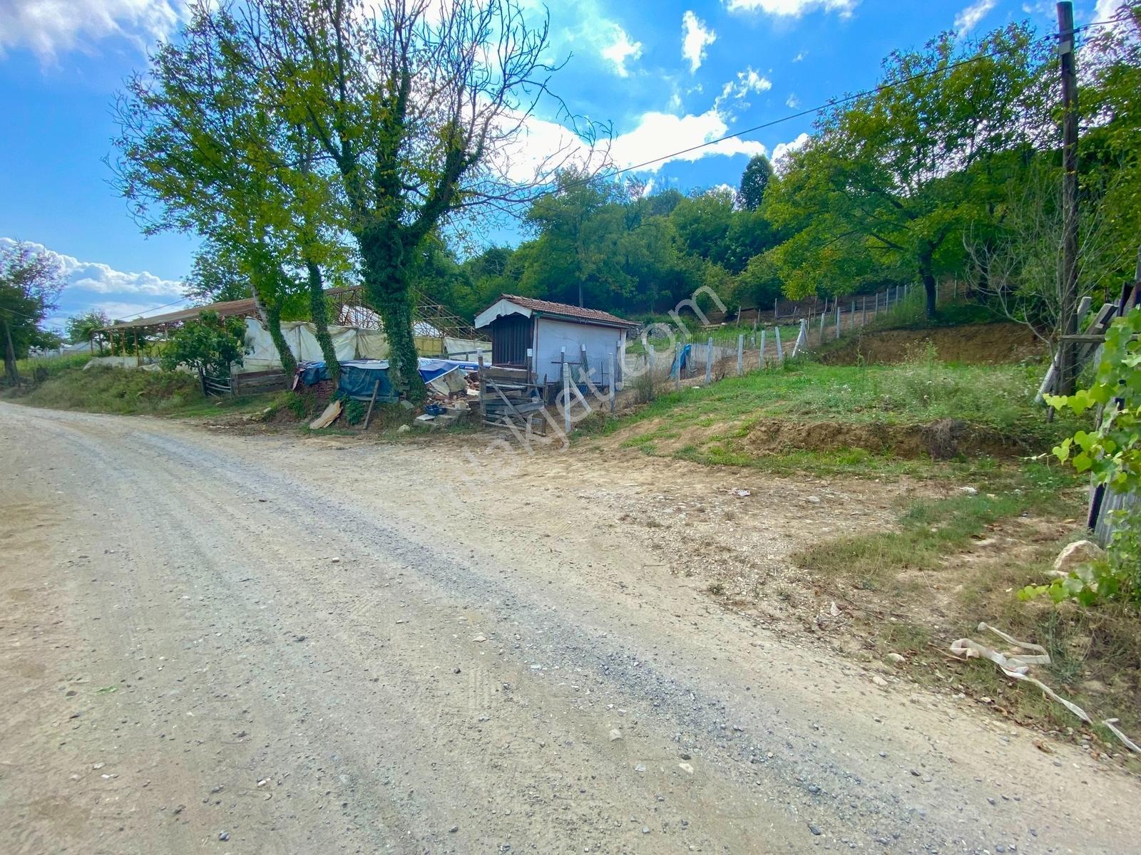 Hak Emlak'tan Kabalak Mah.de Satılık 226m² Hobi Bahçesi - Görsel 27