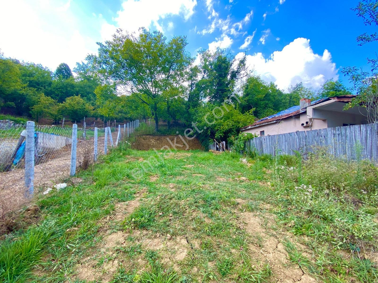 Hak Emlak'tan Kabalak Mah.de Satılık 226m² Hobi Bahçesi - Görsel 13