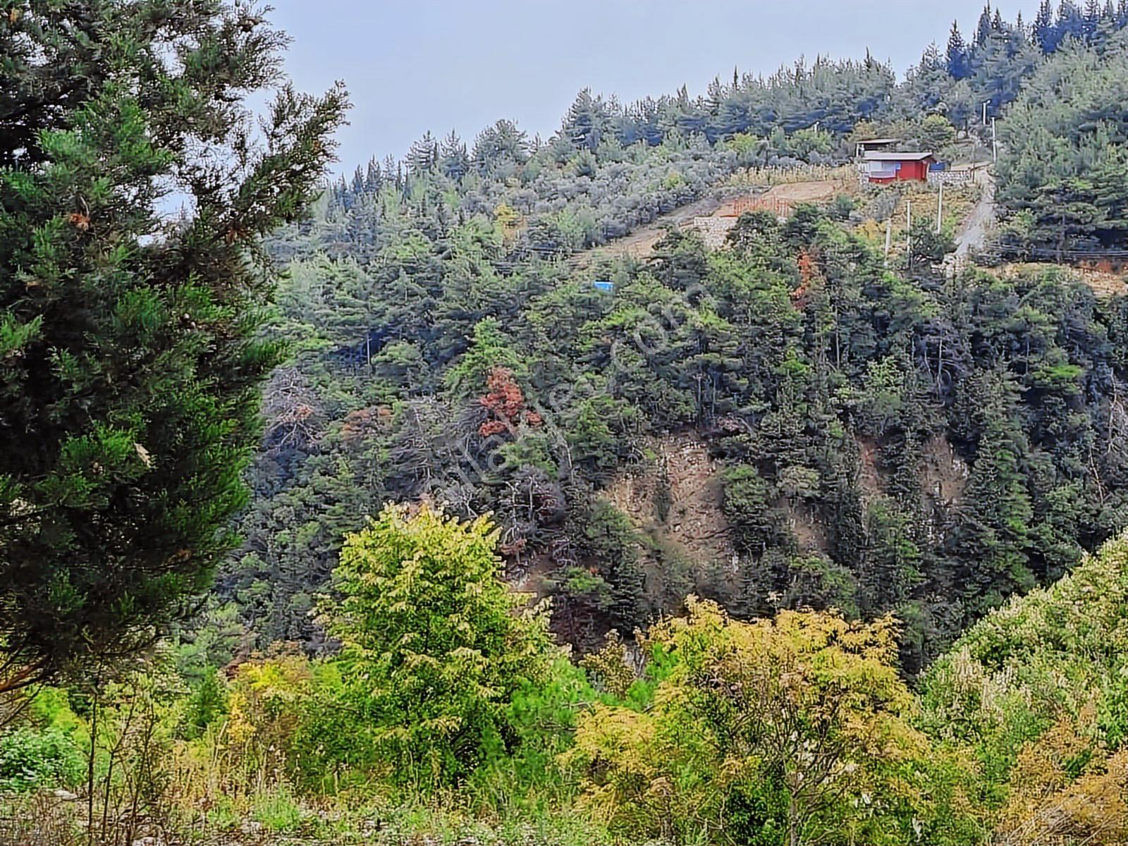 Gölcük Ulaşlı'da Deniz Manzaralı 2.822 M2 Satılık Bahçe - Görsel 10