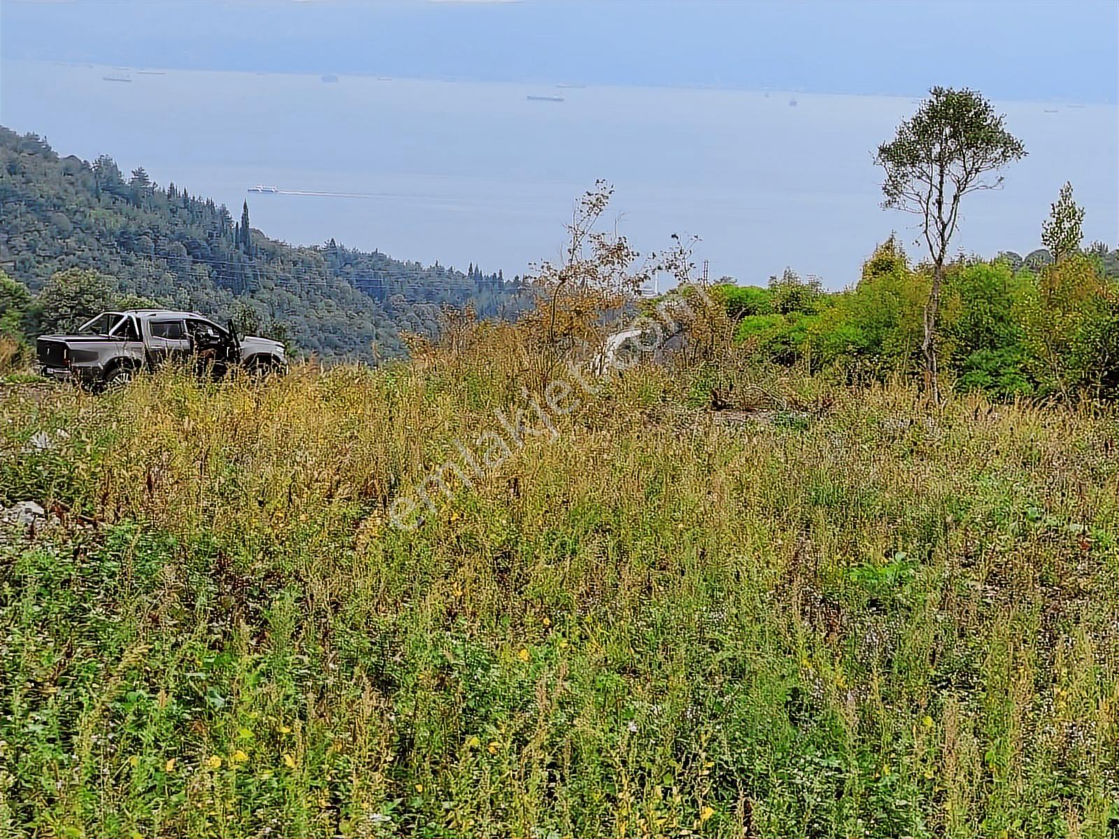 Gölcük Ulaşlı'da Deniz Manzaralı 2.822 M2 Satılık Bahçe - Görsel 9