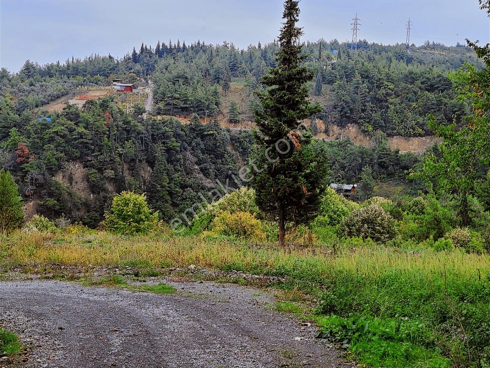 Gölcük Ulaşlı'da Deniz Manzaralı 2.822 M2 Satılık Bahçe - Görsel 13