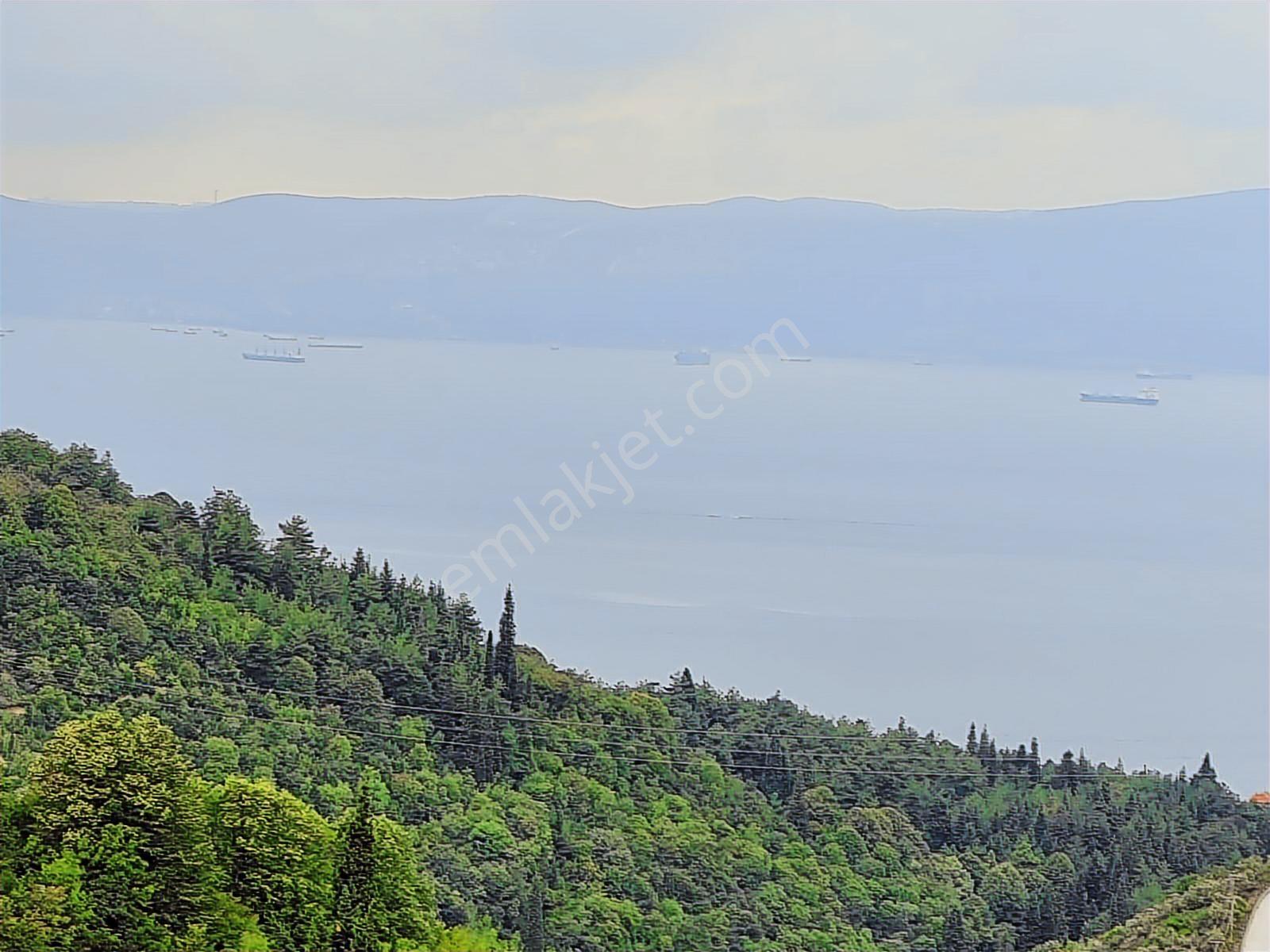 Gölcük Ulaşlı'da Deniz Manzaralı 2.822 M2 Satılık Bahçe - Görsel 12