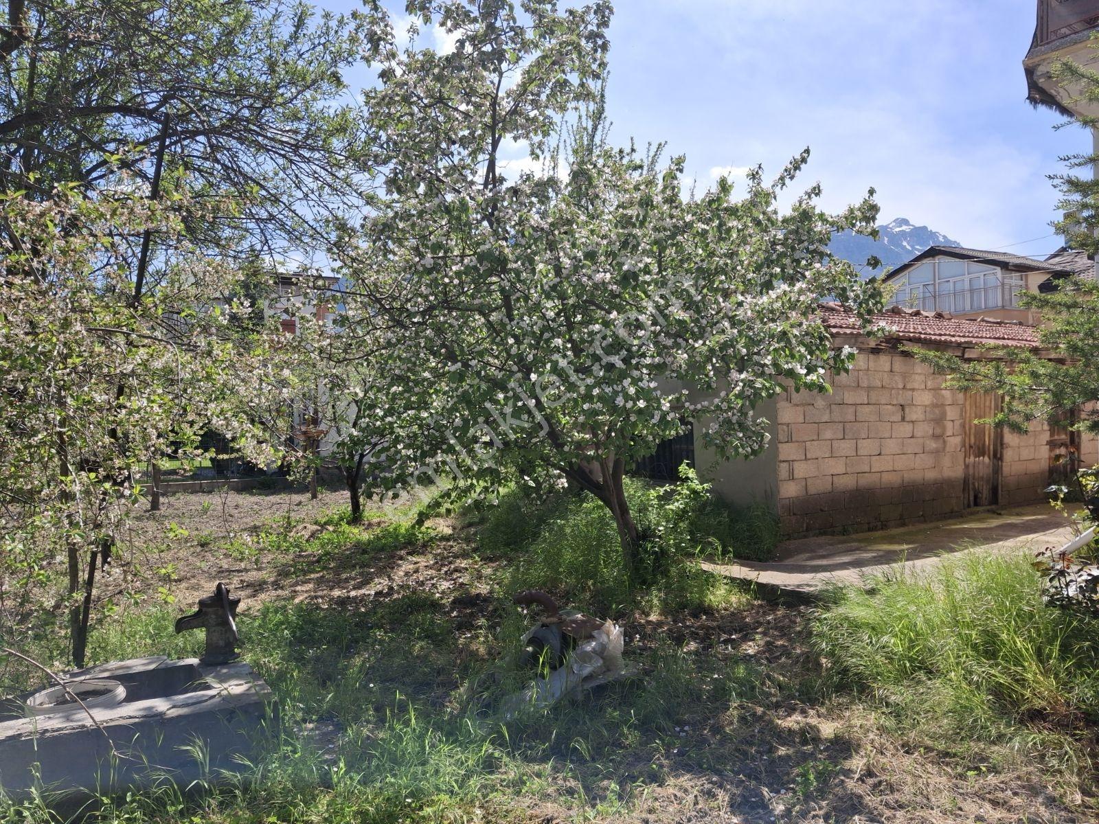 Uygun Fiyatlı 658 M2 Arsa İçinde 3 Katlı Bina Komple Satılık - Görsel 7