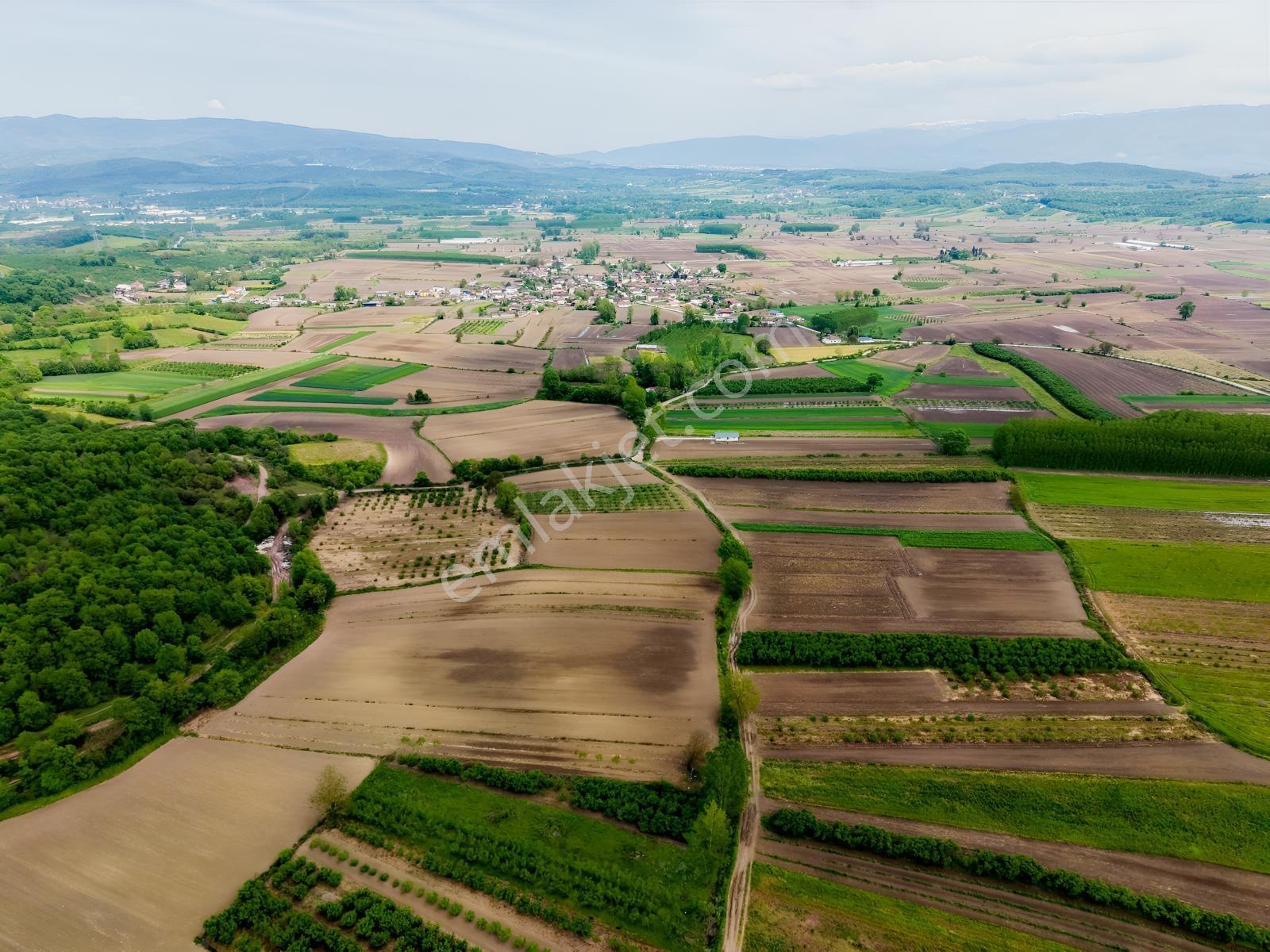 Hendek Paşaköyde 1783m2 Satılık Tarla - Görsel 2